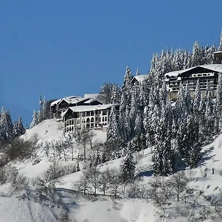 Daire Rosa Di Monte- Oasi Zegna Bielmonte